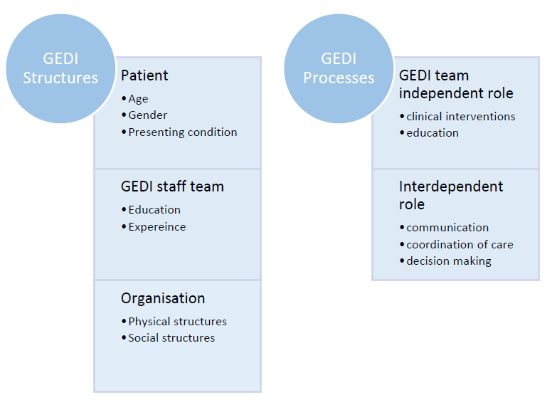 Structure and process elements of the GEDI service