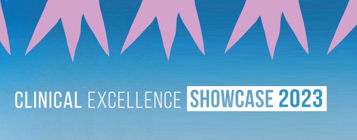 Clinical Excellence Showcase 2023 project